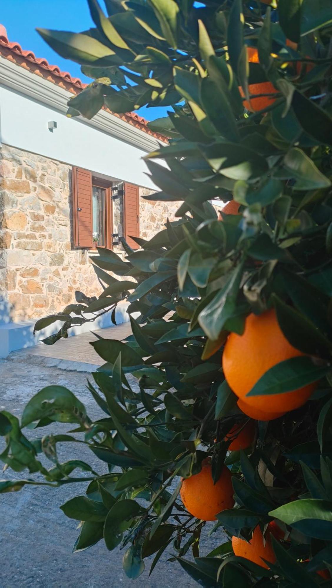 Nafplio Village Exterior photo